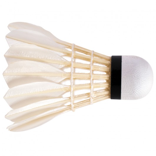 Волани Babolat FEATHER SHUTTLE BABOLAT 2 (Пакунок,12 штук) 551022/101